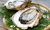 有限会社マルモ水産 イメージ